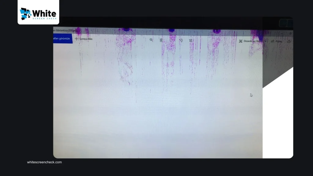 How to Test for Dead Pixels on Your Monitor